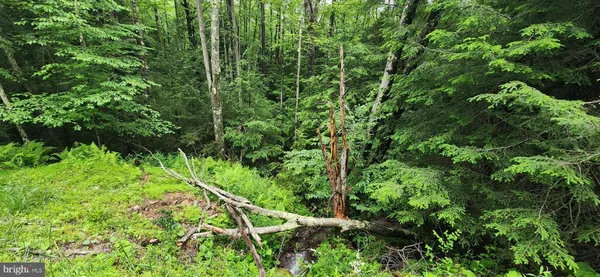 $34,000 | Yough View Drive, Unit 12, Oakland, MD 21550