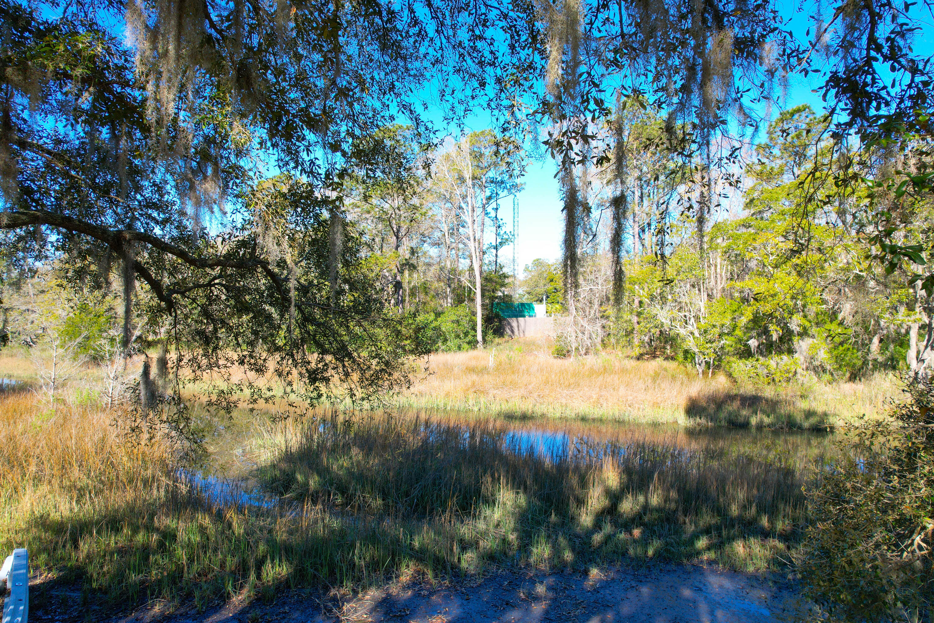 1810 Laura Creek Road Charleston, SC 29412 - Photo 25 of 31 Marsh View