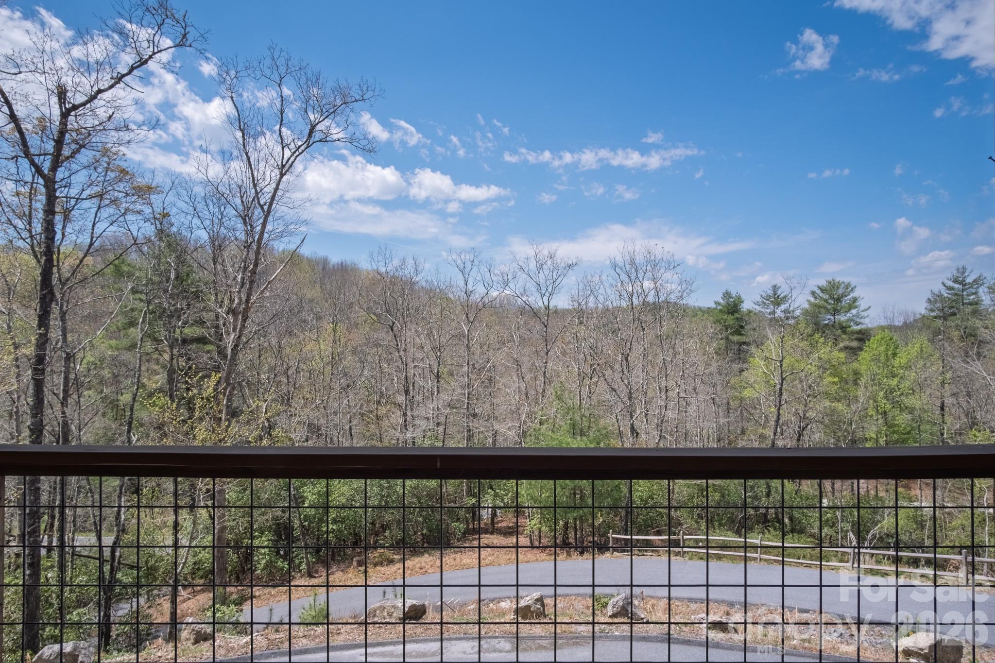 3171 East Fork Road Brevard, NC 28712 - Photo 24 of 48
