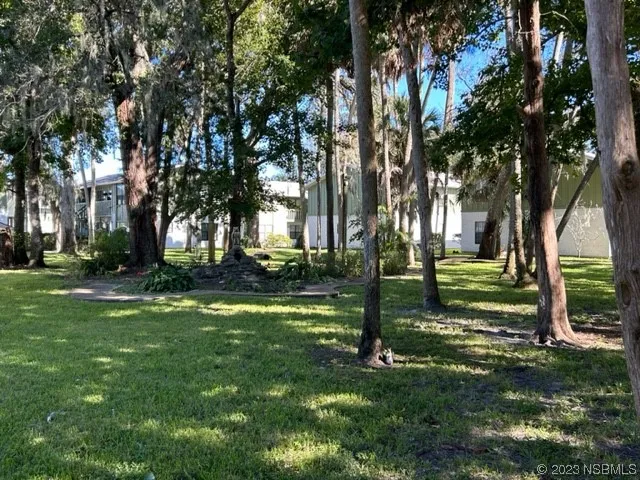 a view of a backyard with tree