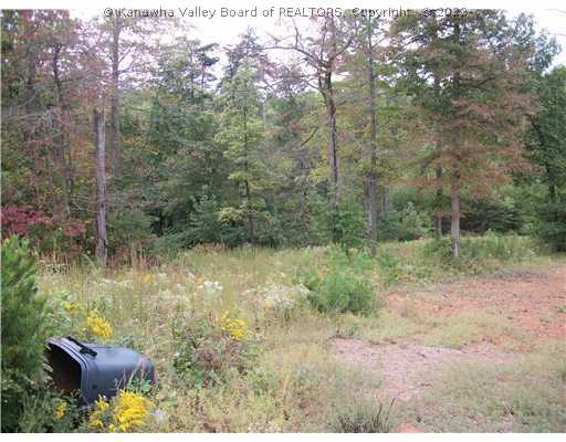 0 Lindsey Place Ripley, WV 25271 - Photo 3 of 3 Land/Lot.