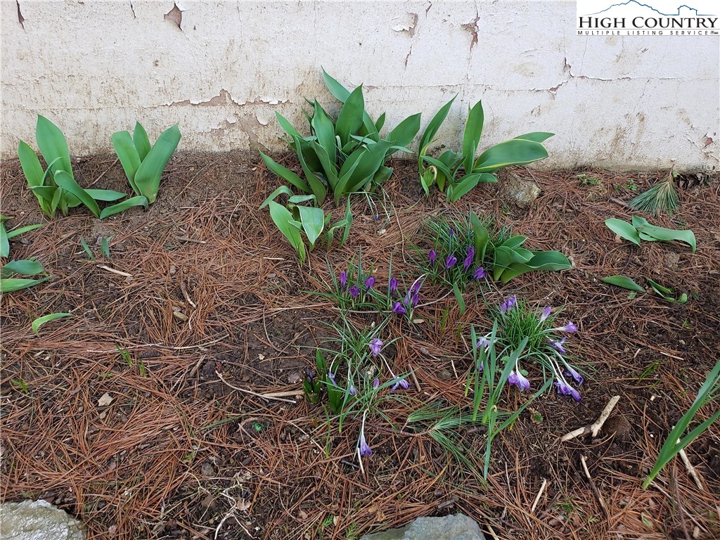 129 Ridgewood Drive Boone, NC 28607 - Photo 27 of 27 Gallery Image 27