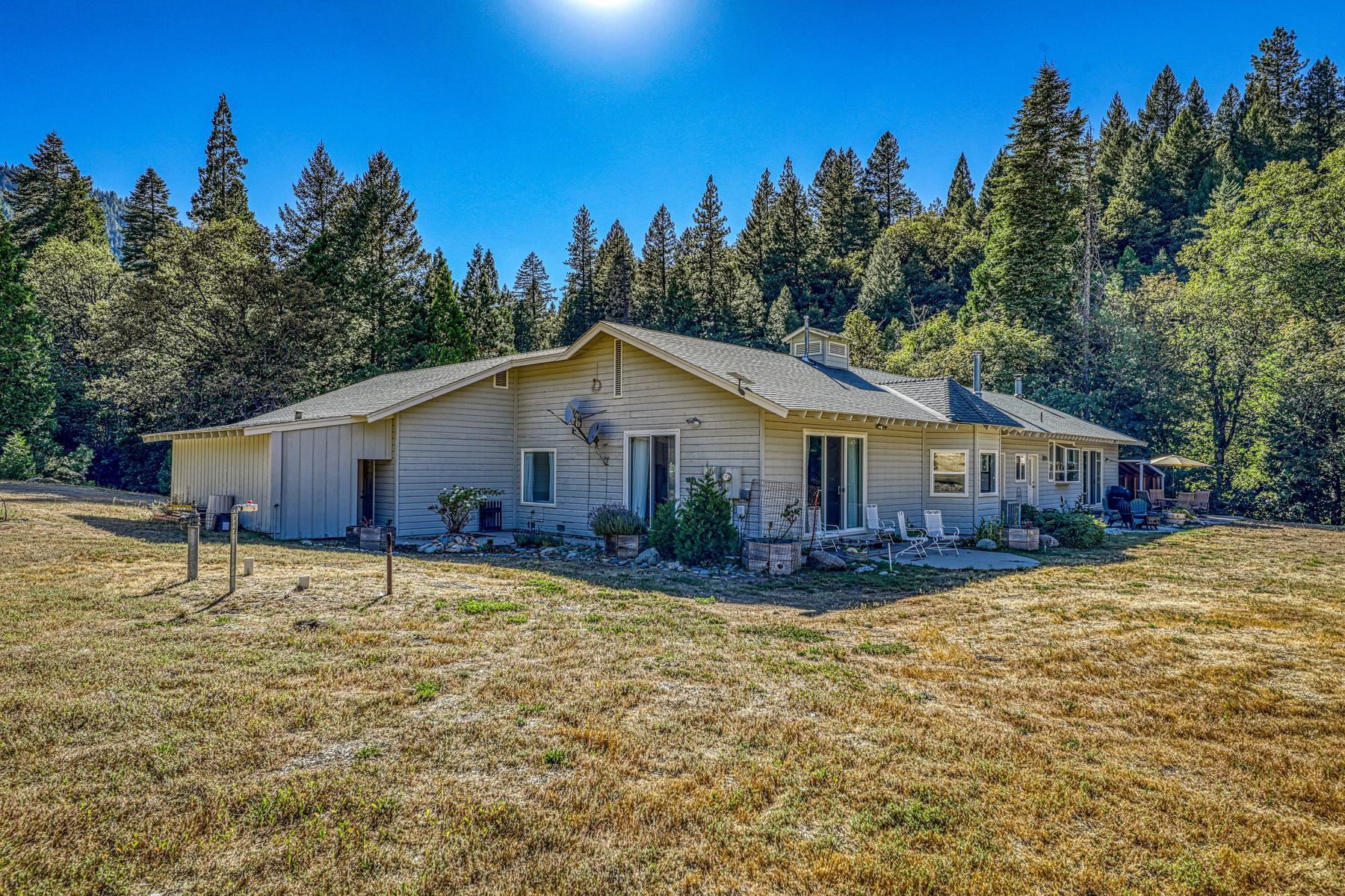 800 Romano Ranch Road Sierra City, CA 96125 - Photo 9 of 27 Gallery Image 9