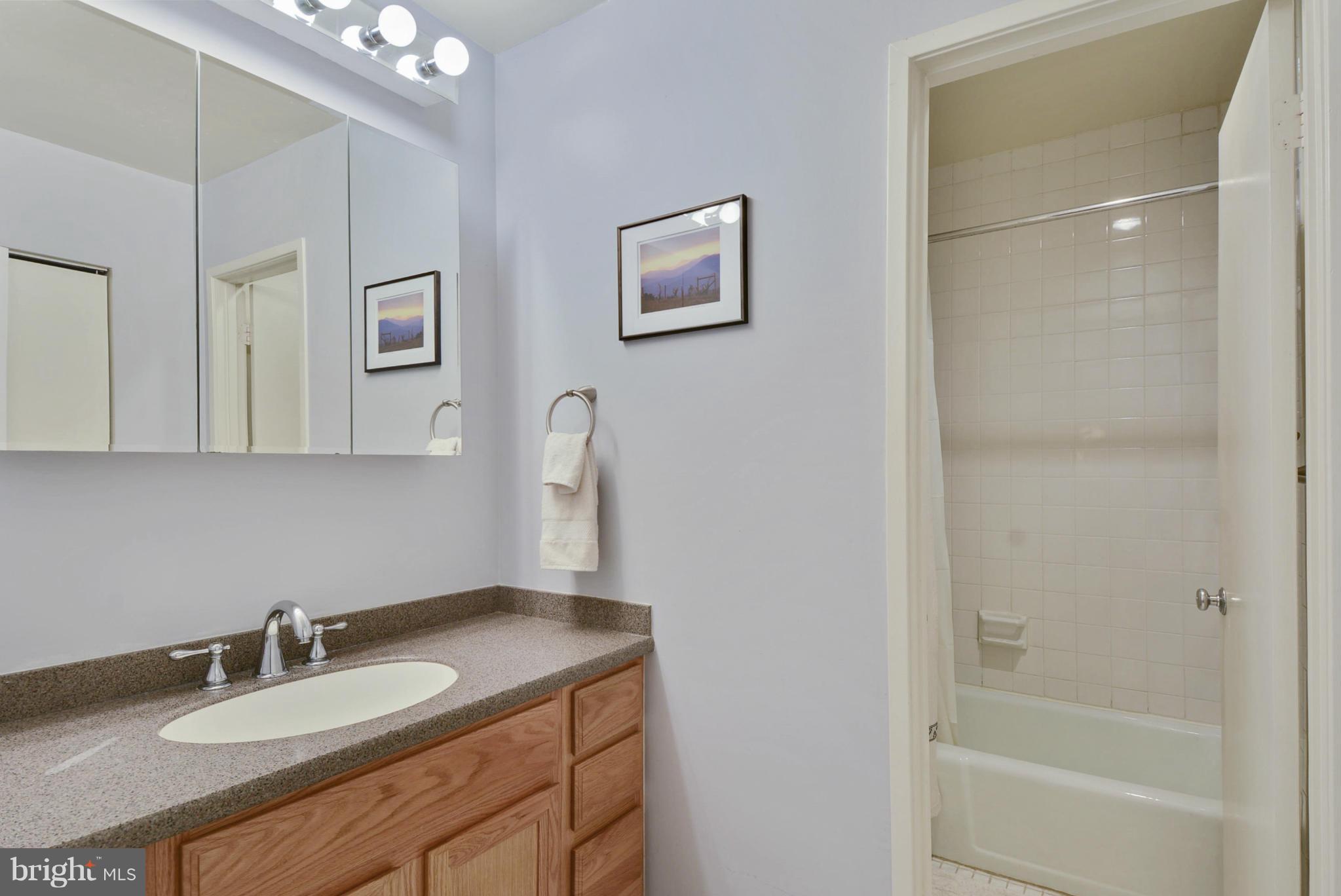 11706 Indian Ridge Road Reston, VA 20191 - Photo 21 of 30 a bathroom with a granite countertop sink a mirror and a bathtub
