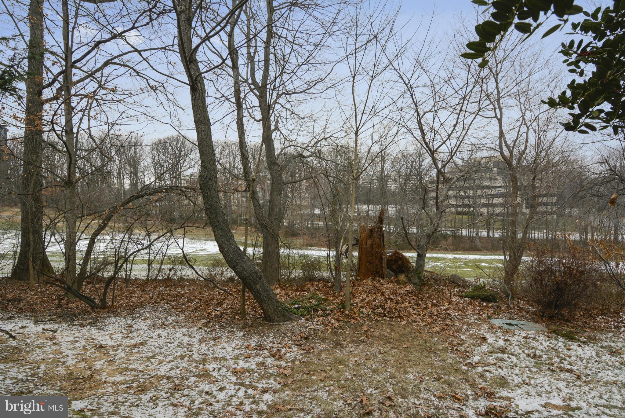 11706 Indian Ridge Road Reston, VA 20191 - Photo 23 of 30 a backyard of a house with lots of green space