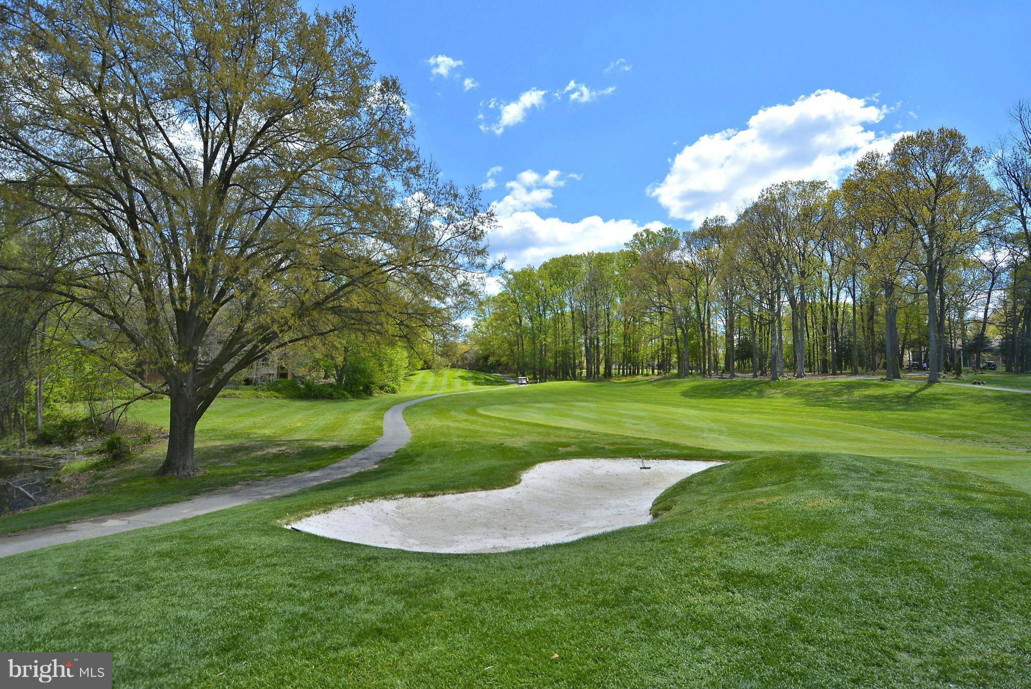 11706 Indian Ridge Road Reston, VA 20191 - Photo 25 of 30 a view of a golf course