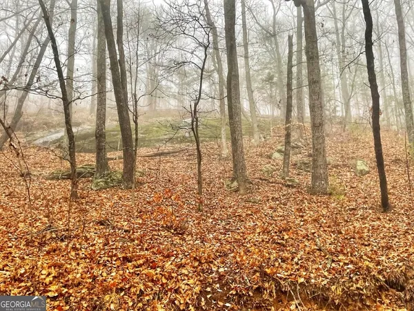 a view of a yard with large trees