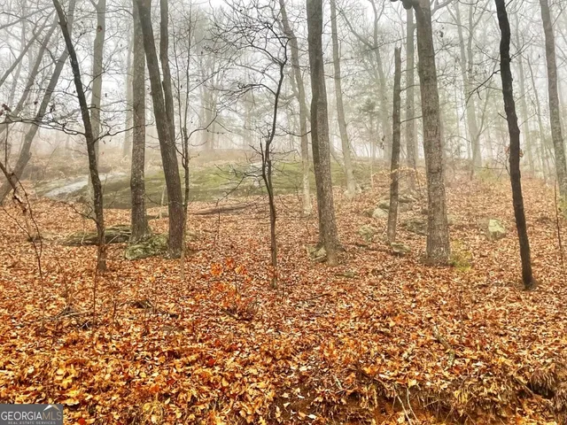 $1,250,000 | 0 Fox Mountain Road, Statesville, NC 28636