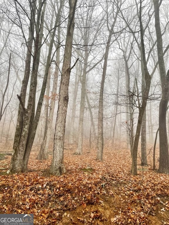 0 Fox Mountain Road Statesville, NC 28625 - Photo 2 of 12 a yard with a trees