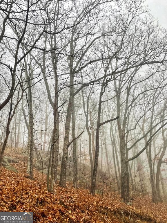 0 Fox Mountain Road Statesville, NC 28625 - Photo 3 of 12 a backyard of a house with lots of green space