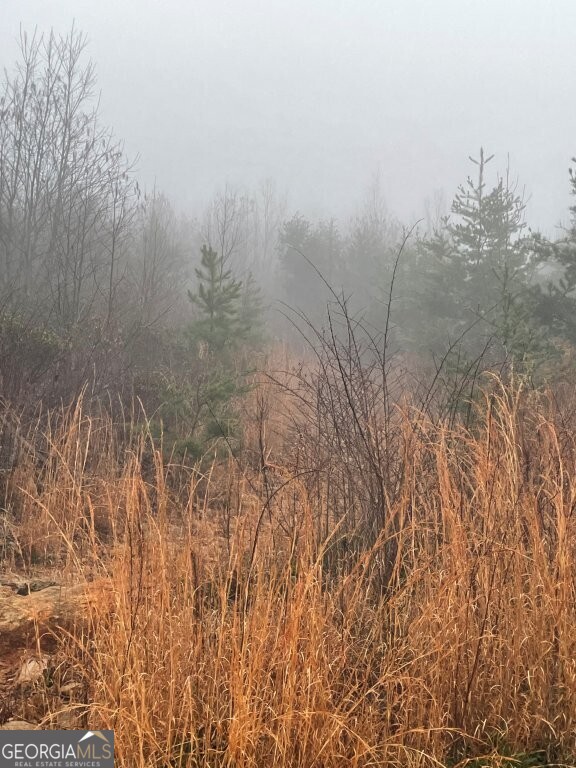 0 Fox Mountain Road Statesville, NC 28625 - Photo 4 of 12 a view of a yard