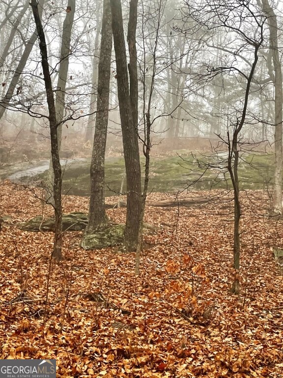 0 Fox Mountain Road Statesville, NC 28625 - Photo 6 of 12 a view of a yard with large trees