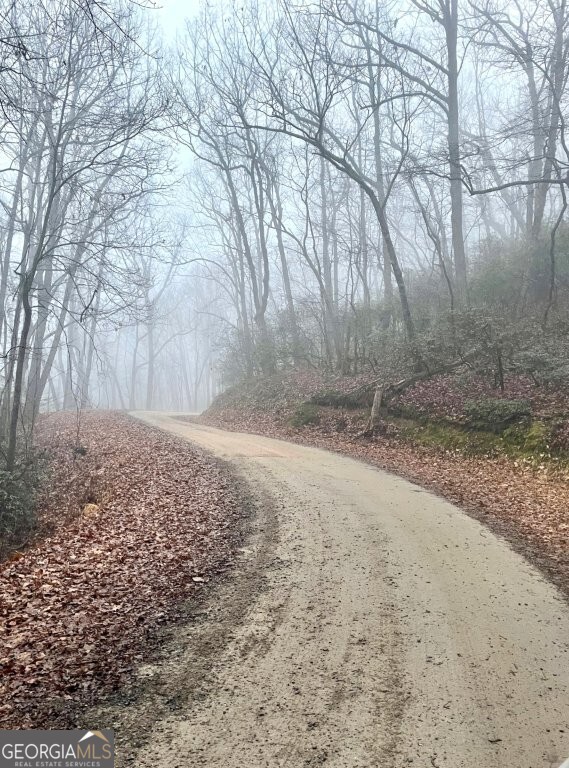 0 Fox Mountain Road Statesville, NC 28625 - Photo 7 of 12 a backyard of a house with large trees