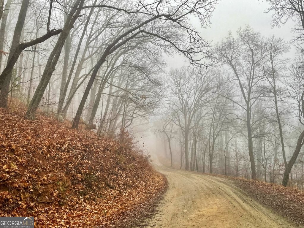 0 Fox Mountain Road Statesville, NC 28625 - Photo 8 of 12 a view of backyard and trees
