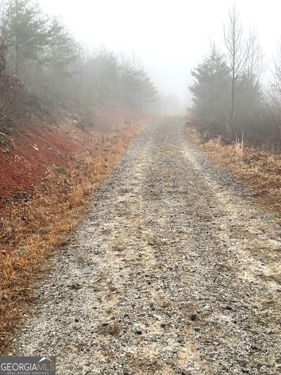 0 Fox Mountain Road Statesville, NC 28625 - Photo 9 of 12 a view of a yard with trees in the background
