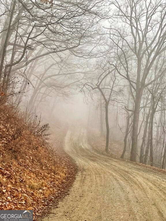 0 Fox Mountain Road Statesville, NC 28625 - Photo 10 of 12 a view of a yard with trees