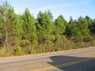 3425 Sargent Road Dalzell, SC 29040 - Photo 1 of 1 Gallery Image 1