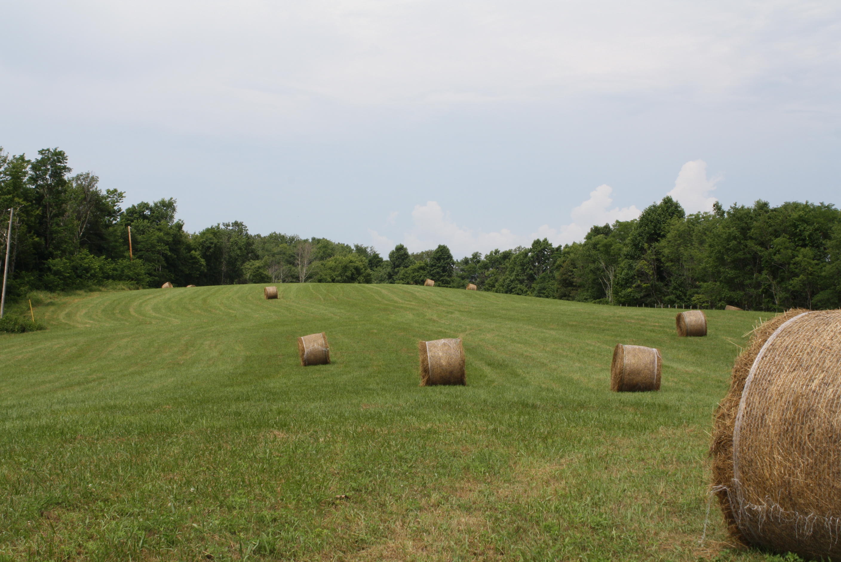 3296 Simms Mountain Road Rainelle, WV 25962 - Photo 115 of 119 Gallery Image 115