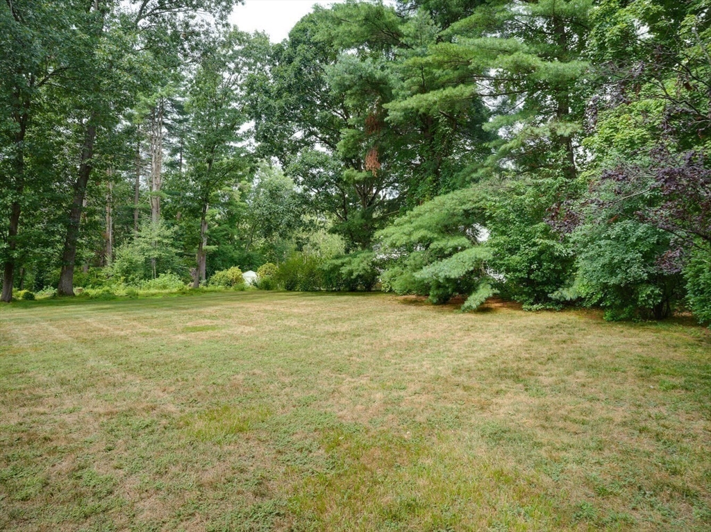 77 Colonial Road Medfield, MA 02052 - Photo 4 of 38 Gallery Image 4