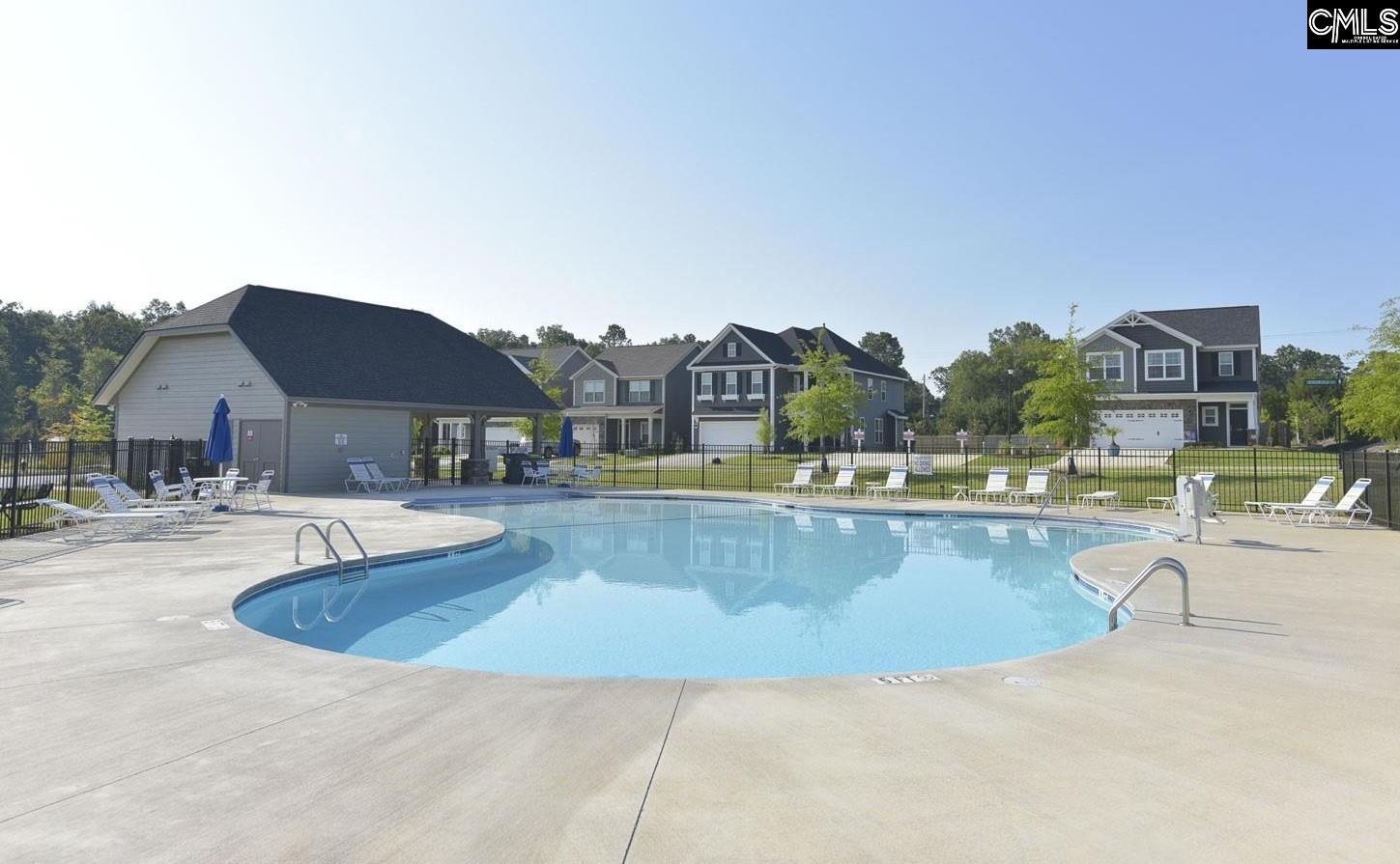 432 Thayer Street Chapin, SC 29036 - Photo 65 of 68