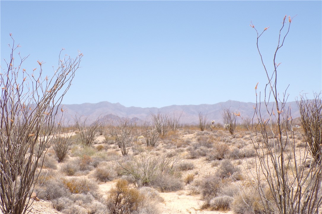 245-24-125 Rainbow Road Yucca, AZ 86438 - Photo 14 of 16 a view of mountain with trees