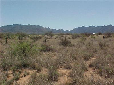 163 North Dragoon Ranch Road St. David, AZ 85630 - Photo 1 of 3