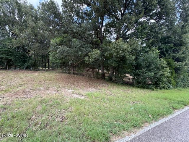 0 McBride Cemetery Road Sardis, TN 38371 - Photo 42 of 54 thumbnail (42)