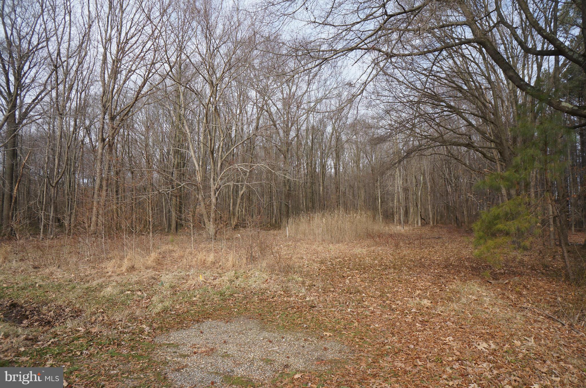 9048 Georgetown Road Chestertown, MD 21620 - Photo 1 of 2 View