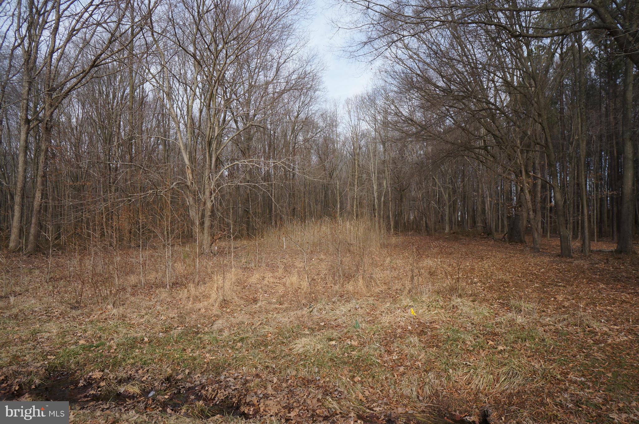 9048 Georgetown Road Chestertown, MD 21620 - Photo 2 of 2 View