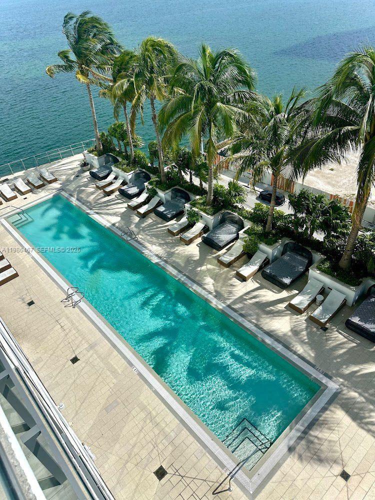 2900 Northeast 7th Avenue, Unit 1003 Miami, FL 33137 - Photo 2 of 15 a view of a backyard with plants and palm tree