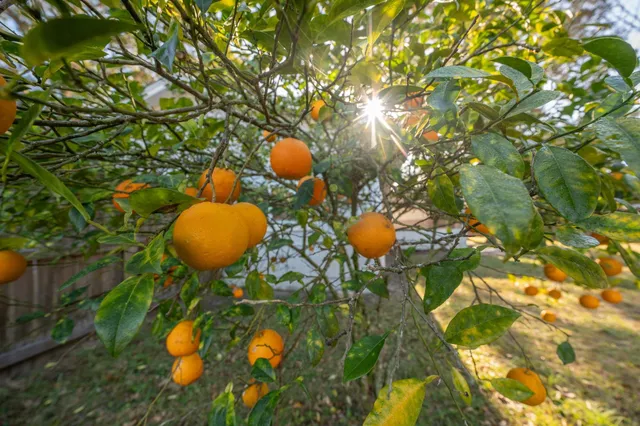 $415,000 | 4233 Oak Lane, St. Augustine, FL 32086