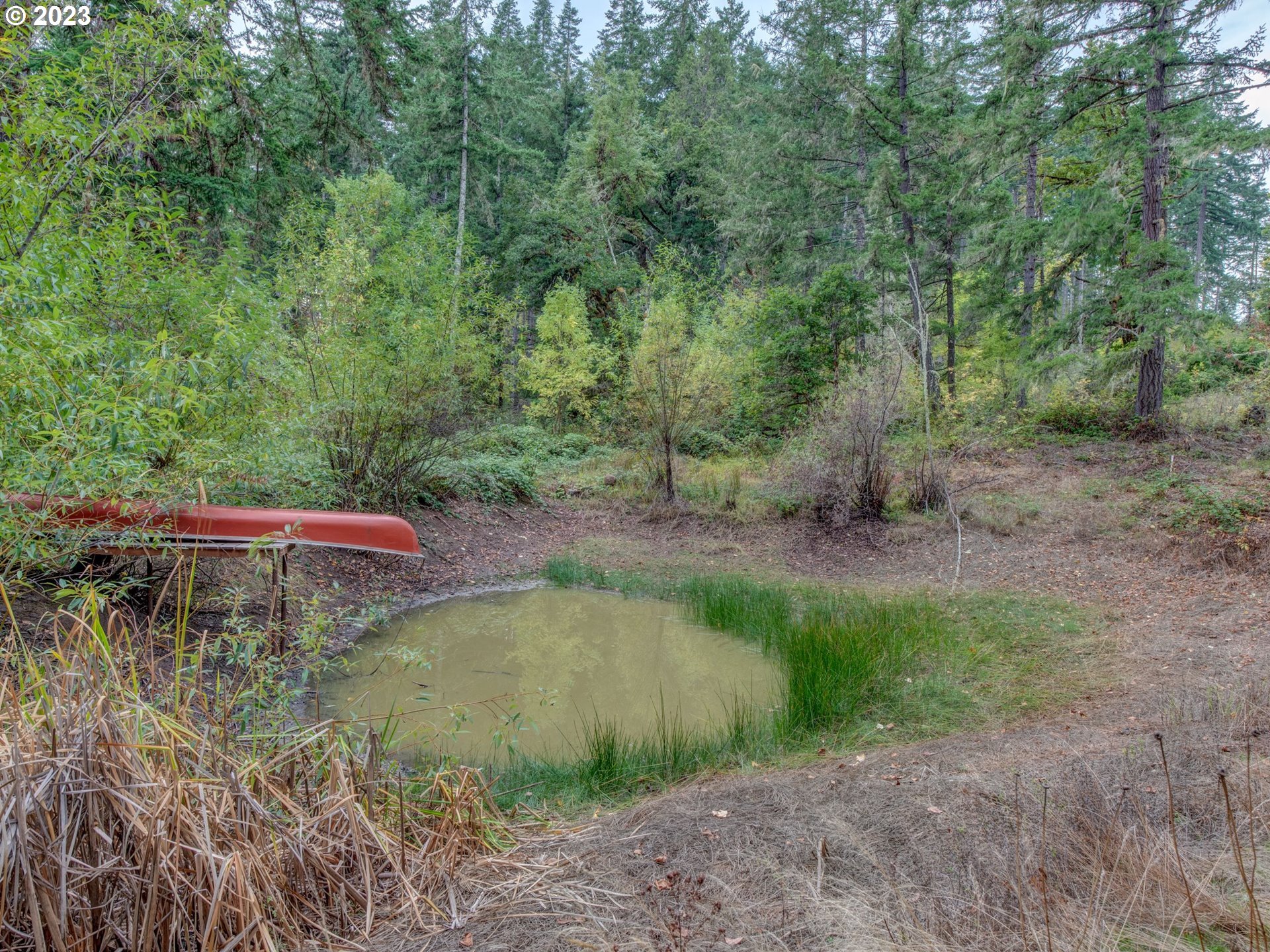 2155 Bennett Creek Road Cottage Grove, OR 97424 - Photo 35 of 38 Pond