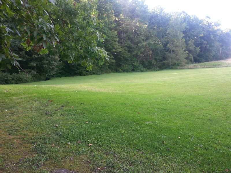 519 Windy Flats Road Shelocta, PA 15774 - Photo 6 of 6 Yard/Garden.