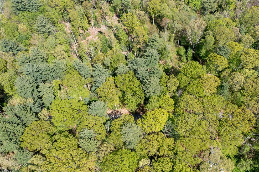0 Hill Road Harrisville, RI 02830 - Photo 7 of 21