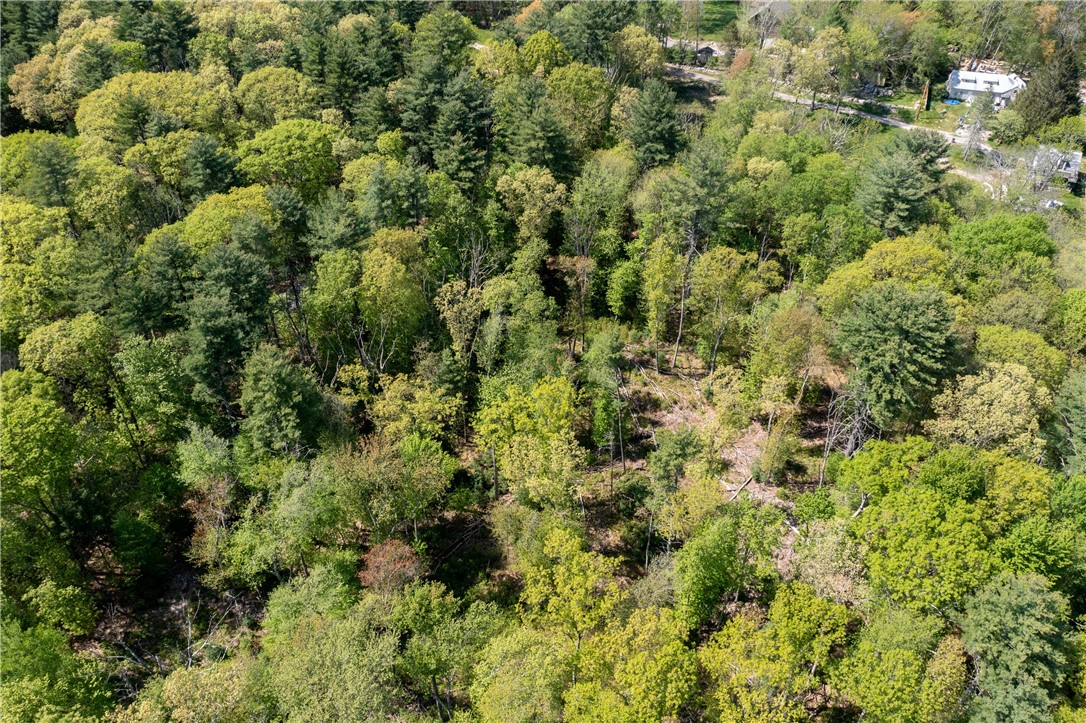 0 Hill Road Harrisville, RI 02830 - Photo 10 of 21