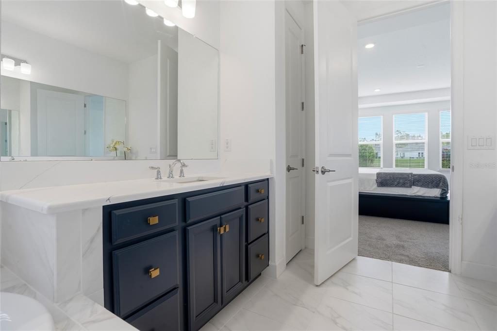 34068 Castaway Loop Wesley Chapel, FL 33543 - Photo 24 of 65 a en suite bathroom with a double vanity sink and a mirror