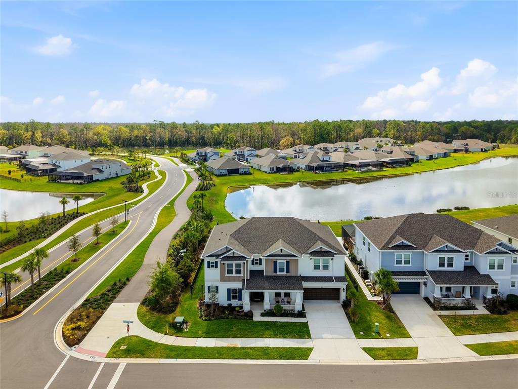 34068 Castaway Loop Wesley Chapel, FL 33543 - Photo 48 of 65 an aerial view of a house with a ocean view