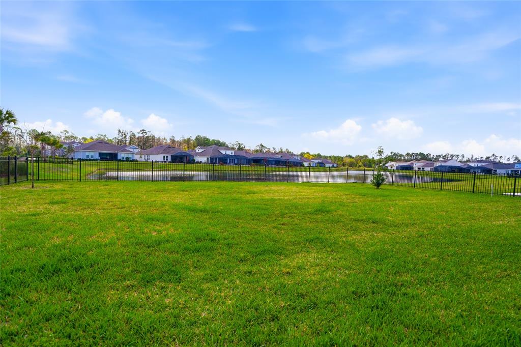 34068 Castaway Loop Wesley Chapel, FL 33543 - Photo 51 of 65 a view of a big yard with plants and large trees