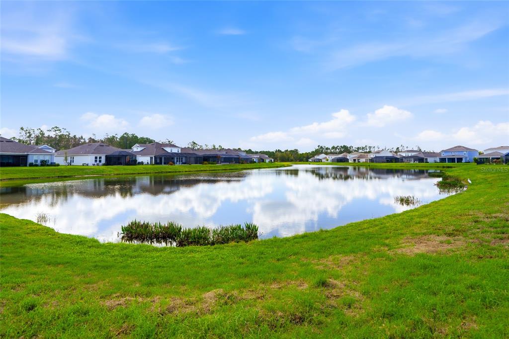 34068 Castaway Loop Wesley Chapel, FL 33543 - Photo 53 of 65 a view of a lake with houses in the back