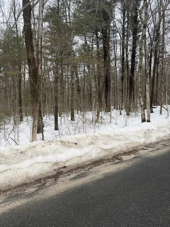 a view of road with trees