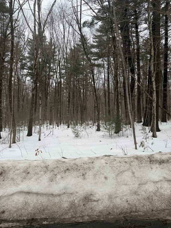 166 V Beebe Road Monson, MA 01057 - Photo 3 of 3 a view of a yard with trees