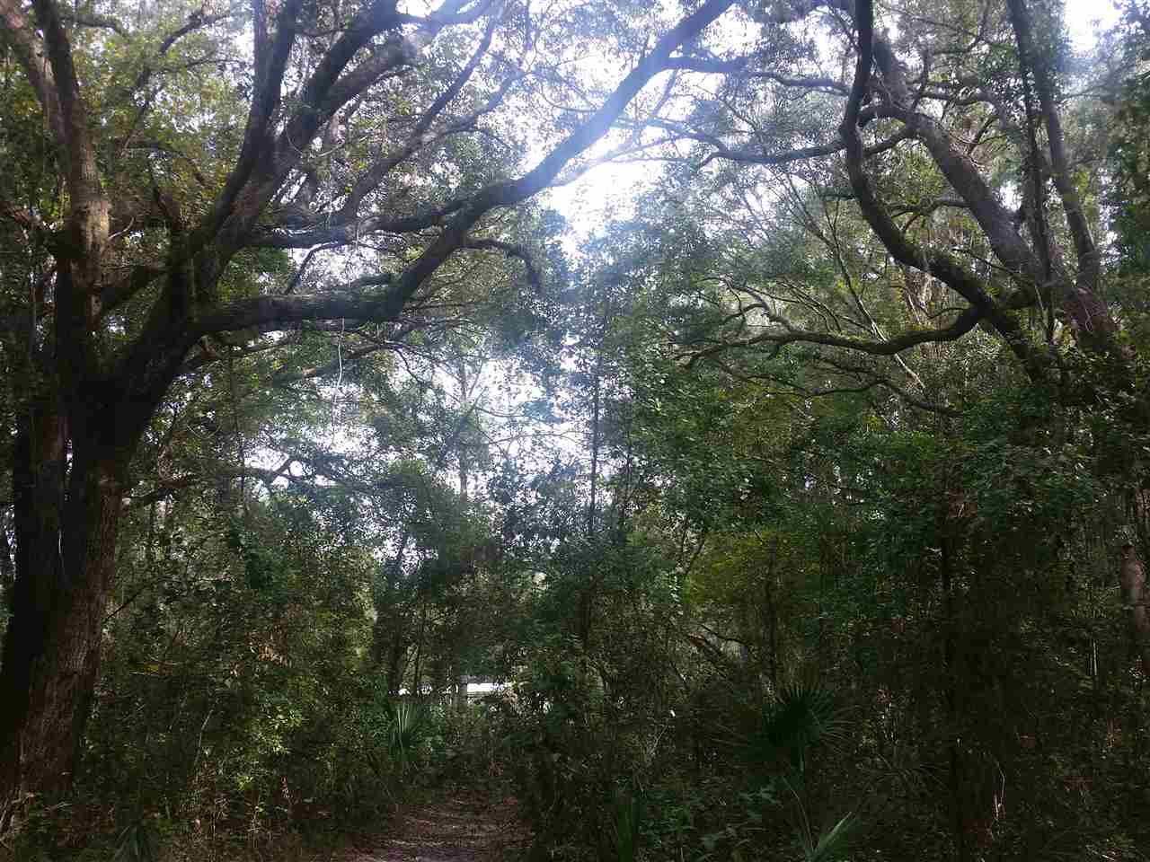 1-acre 1-acre James Road Perry, FL 32347 - Photo 11 of 12