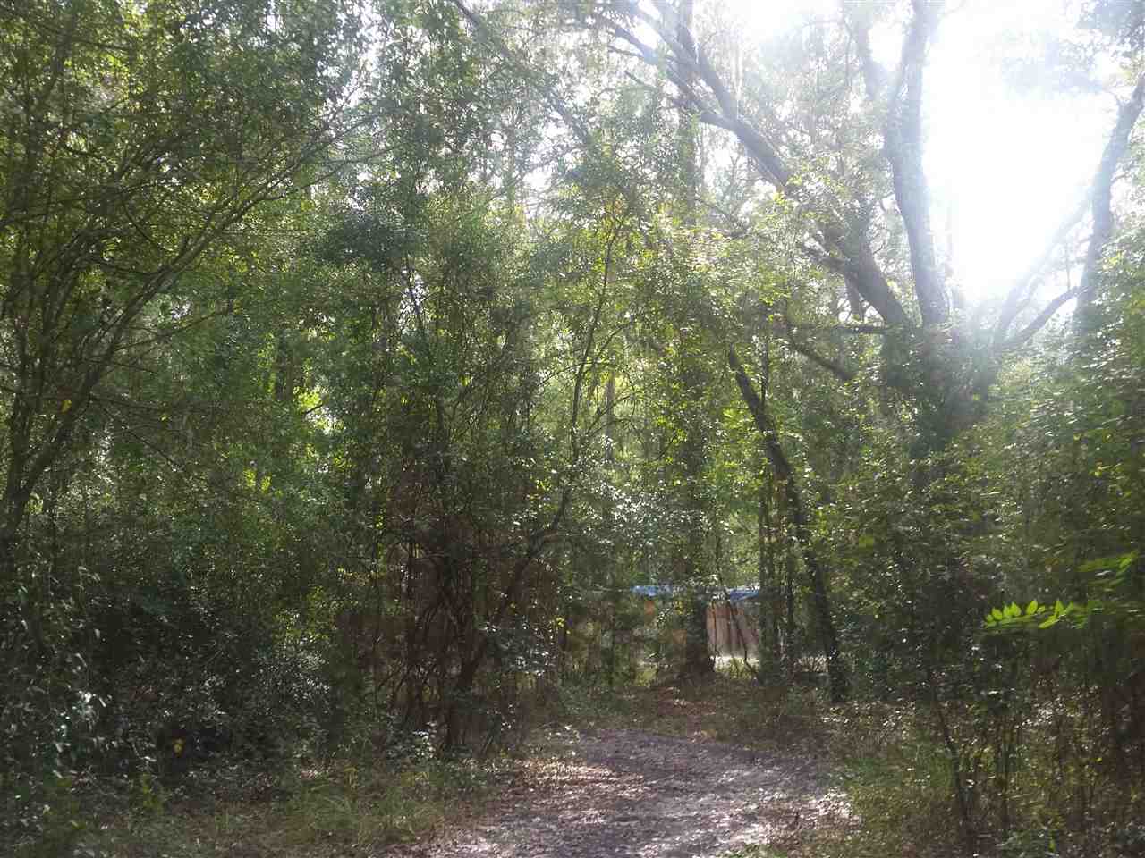 1-acre 1-acre James Road Perry, FL 32347 - Photo 12 of 12
