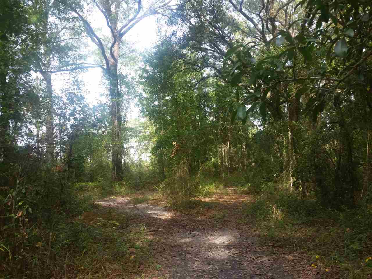 1-acre 1-acre James Road Perry, FL 32347 - Photo 4 of 12