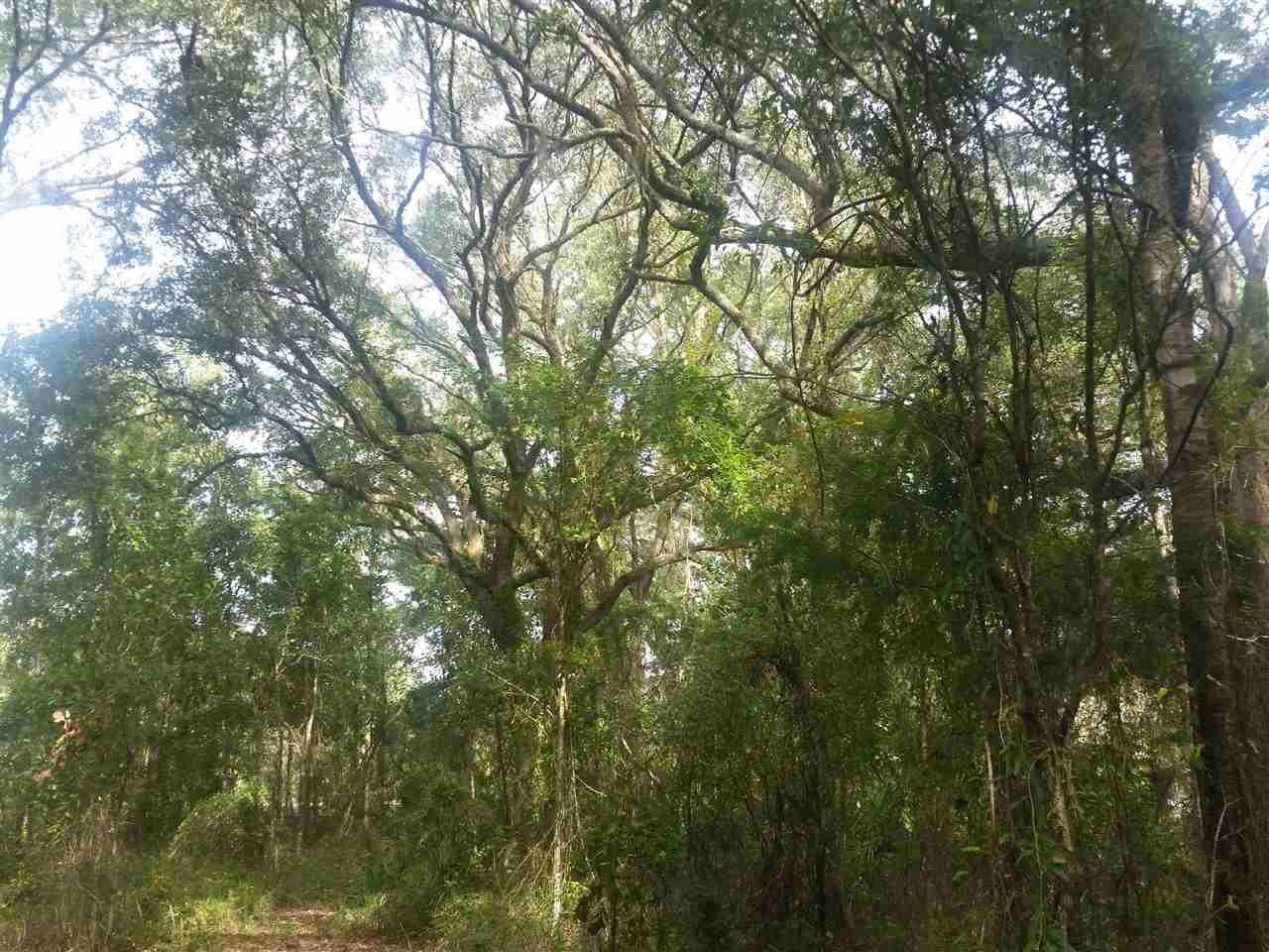 1-acre 1-acre James Road Perry, FL 32347 - Photo 5 of 12
