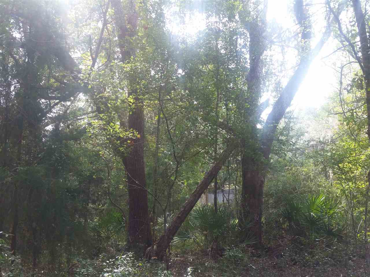 1-acre 1-acre James Road Perry, FL 32347 - Photo 8 of 12