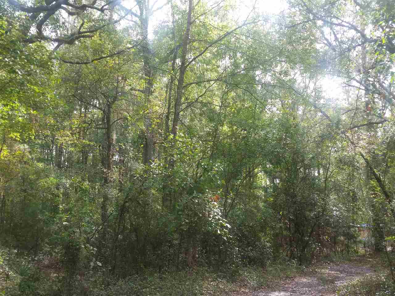 1-acre 1-acre James Road Perry, FL 32347 - Photo 9 of 12