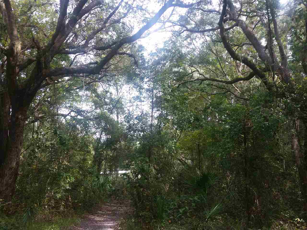 1-acre 1-acre James Road Perry, FL 32347 - Photo 10 of 12