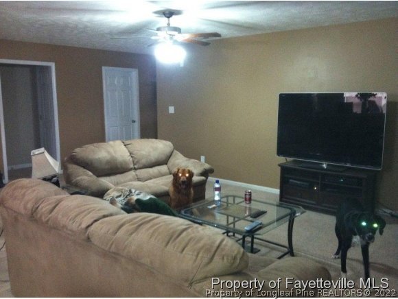 549 Cape Fear Road Raeford, NC 28376 - Photo 3 of 10 Gallery Image 3
