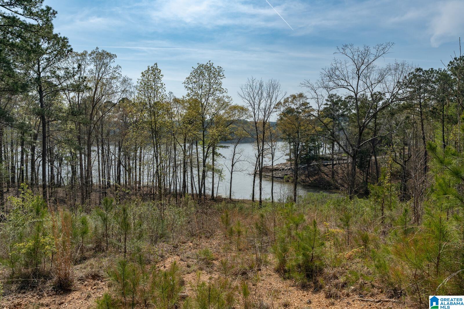 Stillwaters Trail, Unit 180 Sylacauga, AL 35151 - Photo 2 of 30
